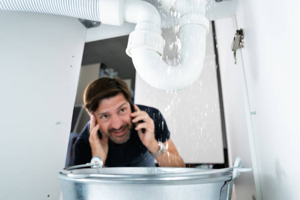 Best Commercial Plumbing Services  in Cold Spring, MN